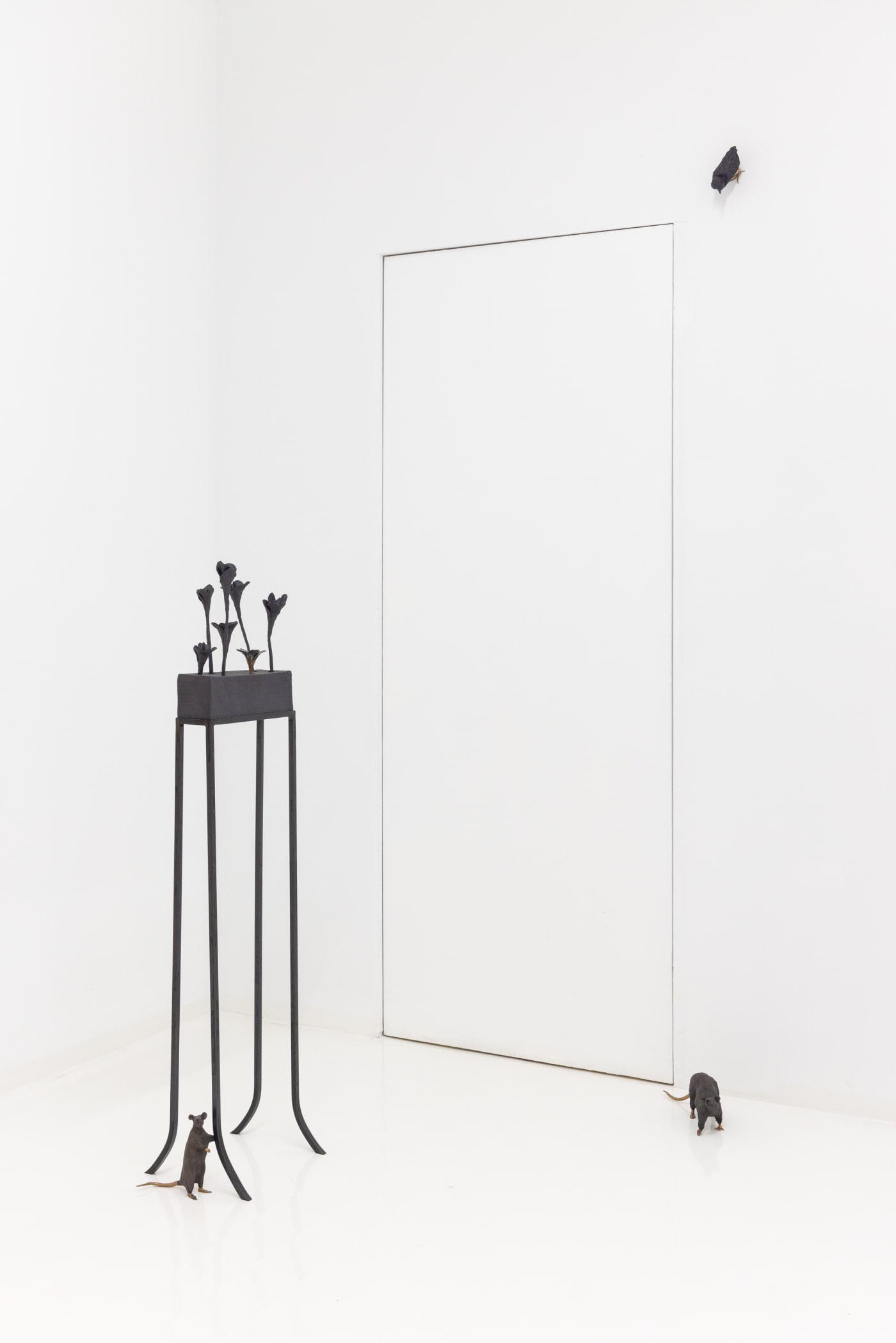 Elizabeth Jaeger: Contempt