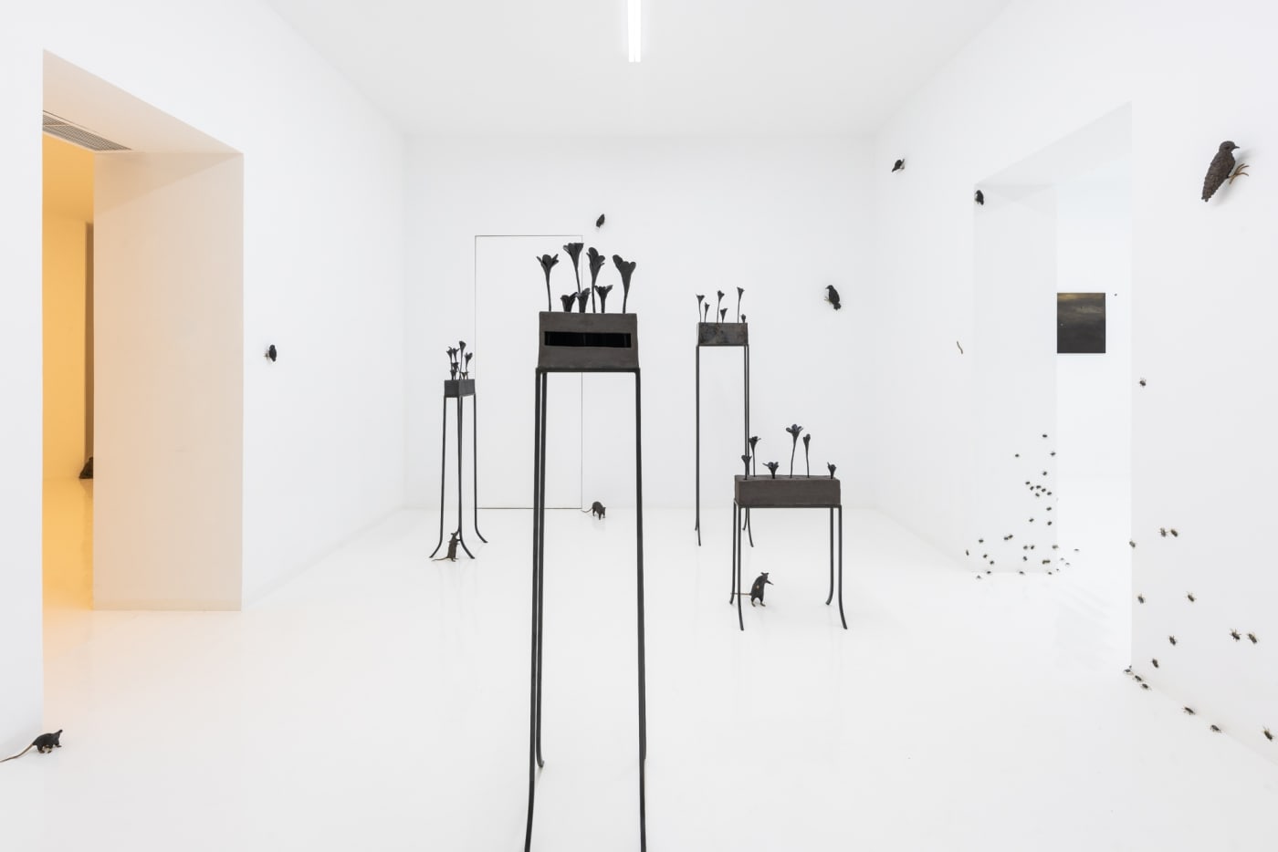 Elizabeth Jaeger: Contempt