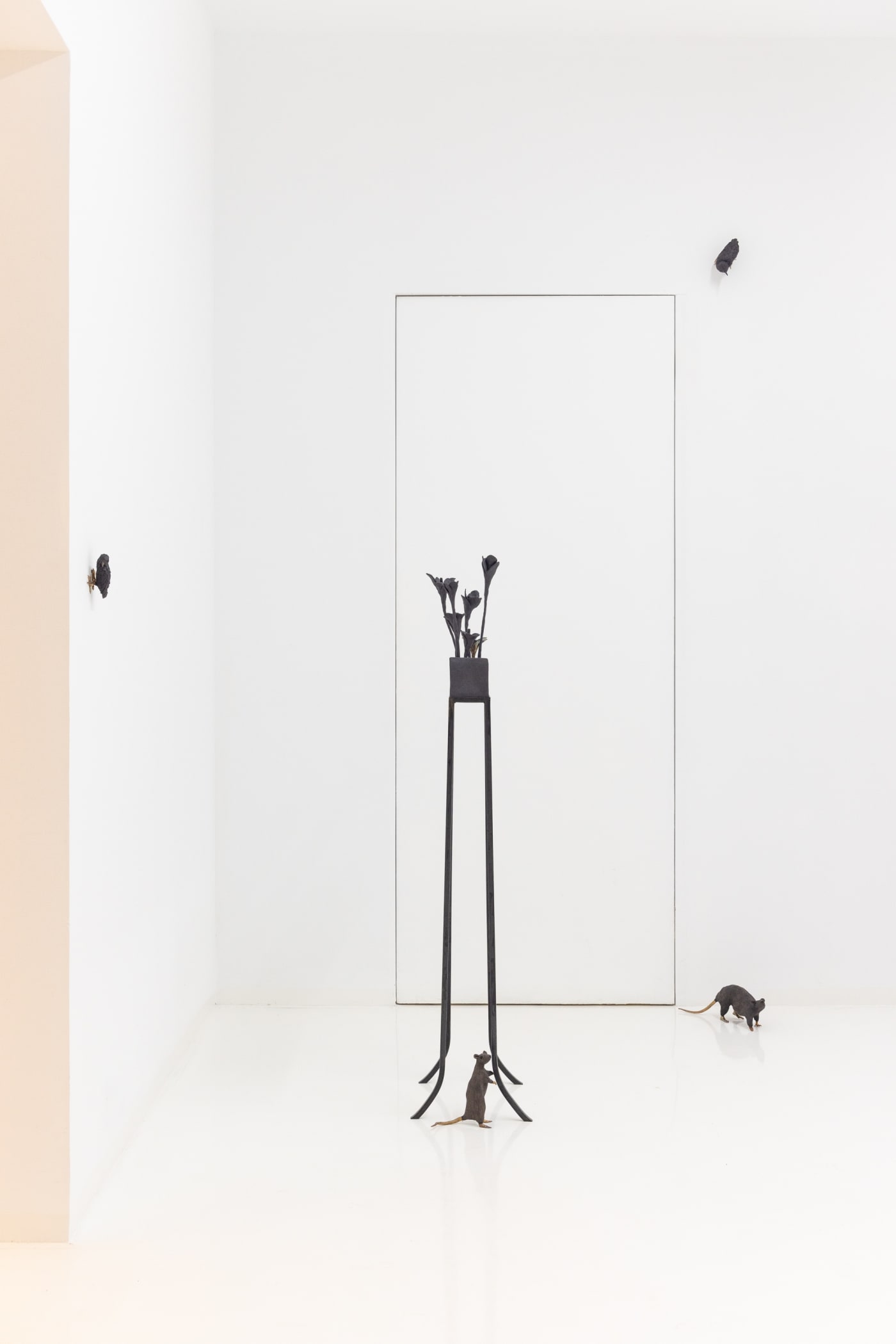 Elizabeth Jaeger: Contempt