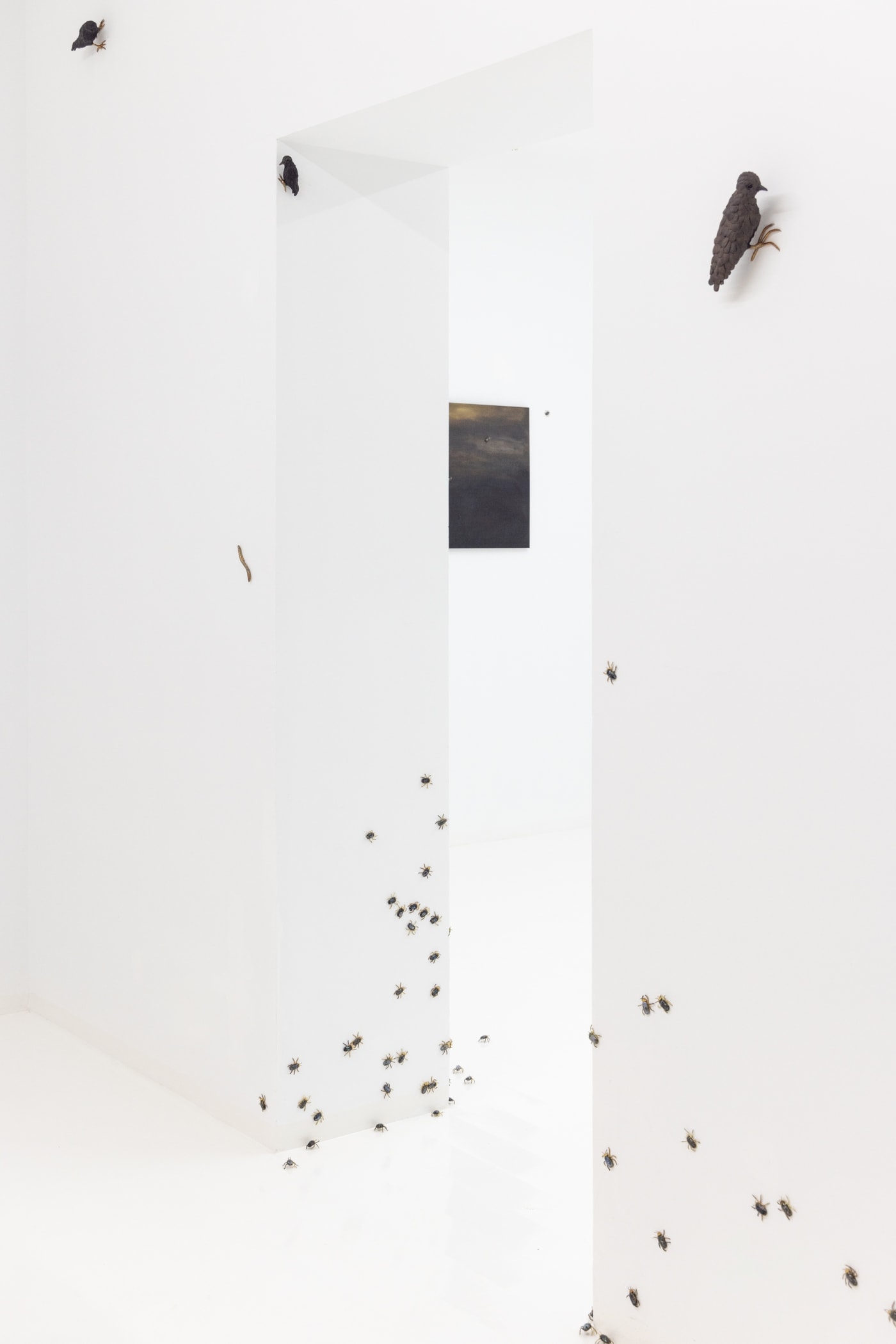 Elizabeth Jaeger: Contempt