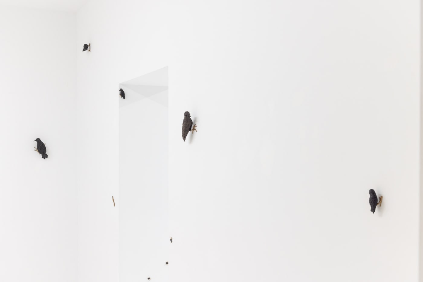 Elizabeth Jaeger: Contempt