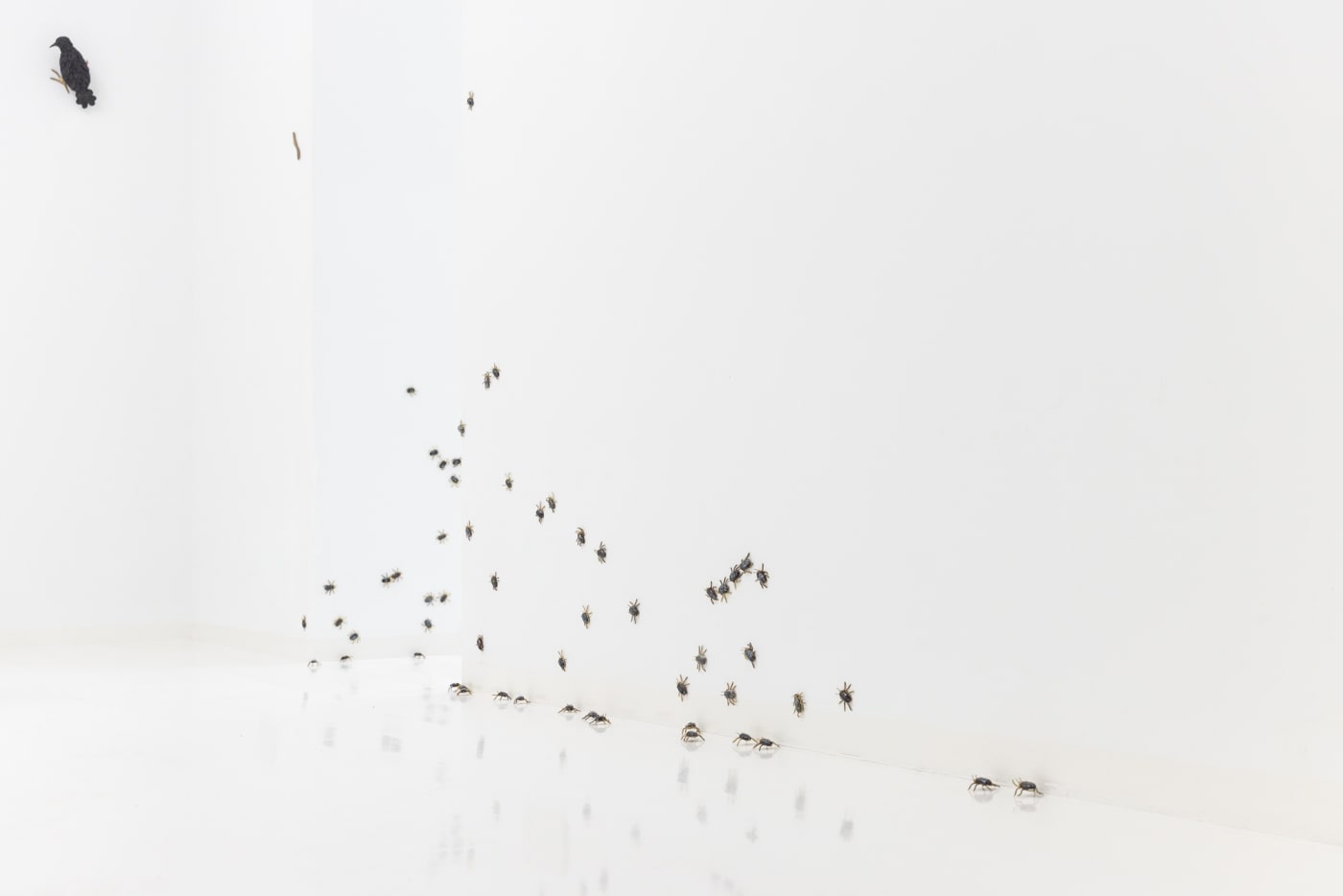 Elizabeth Jaeger: Contempt