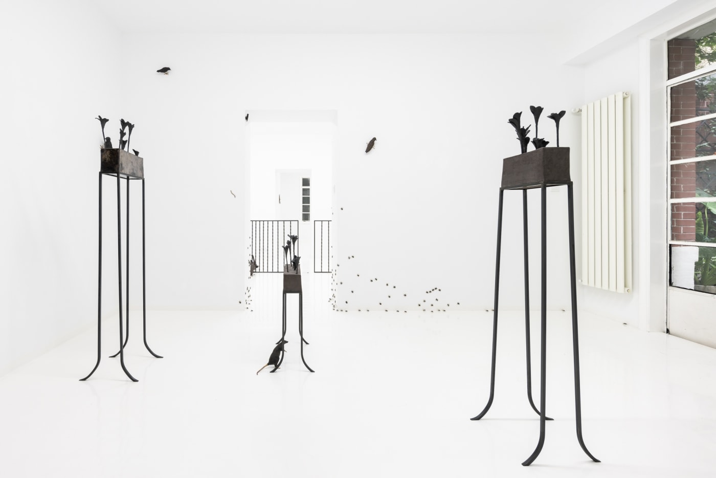 Elizabeth Jaeger: Contempt