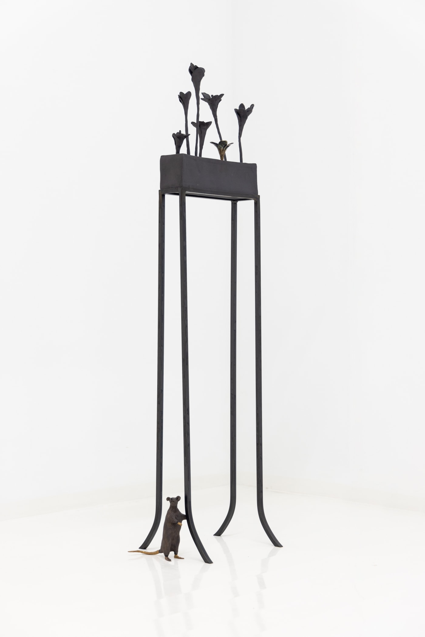 Elizabeth Jaeger: Contempt