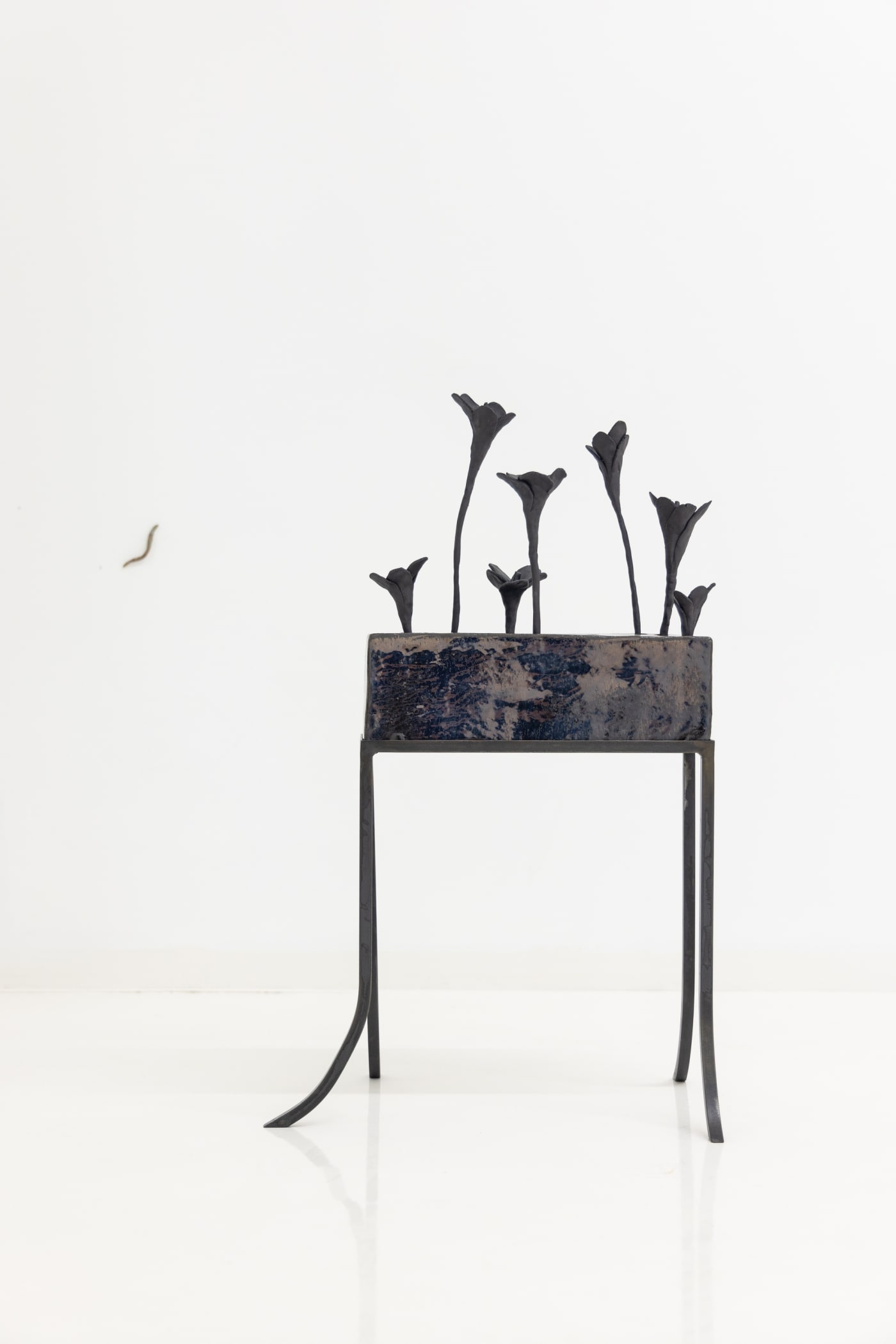 Elizabeth Jaeger: Contempt