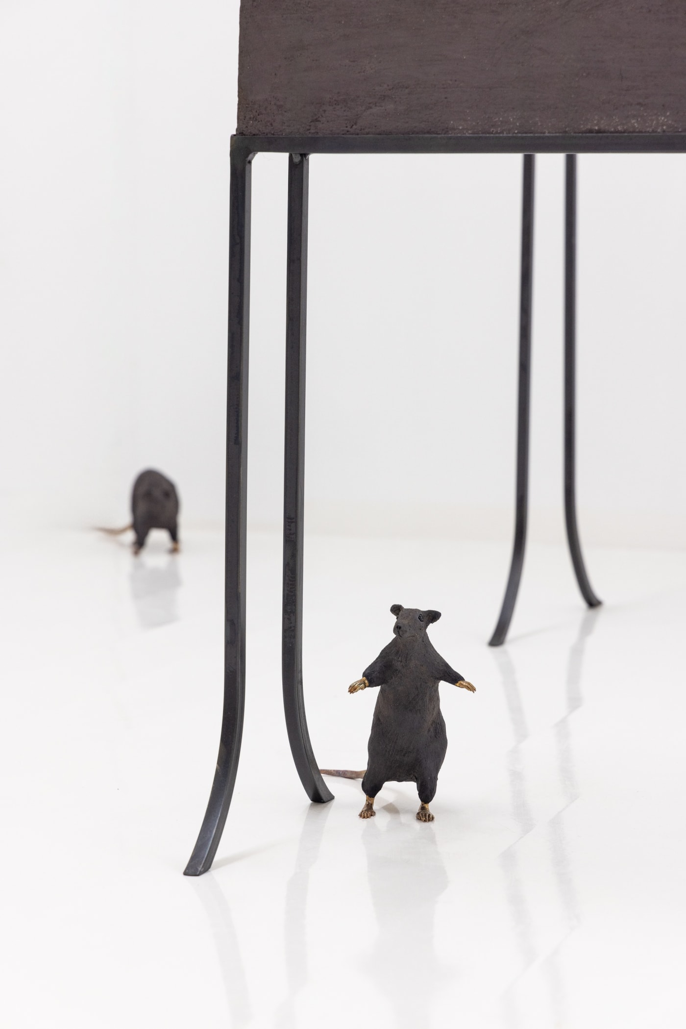 Elizabeth Jaeger: Contempt
