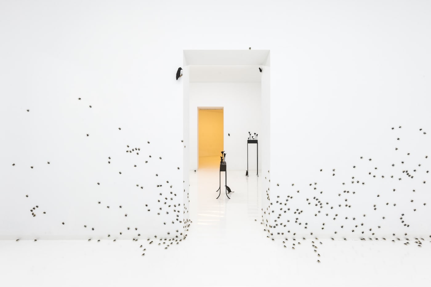 Elizabeth Jaeger: Contempt