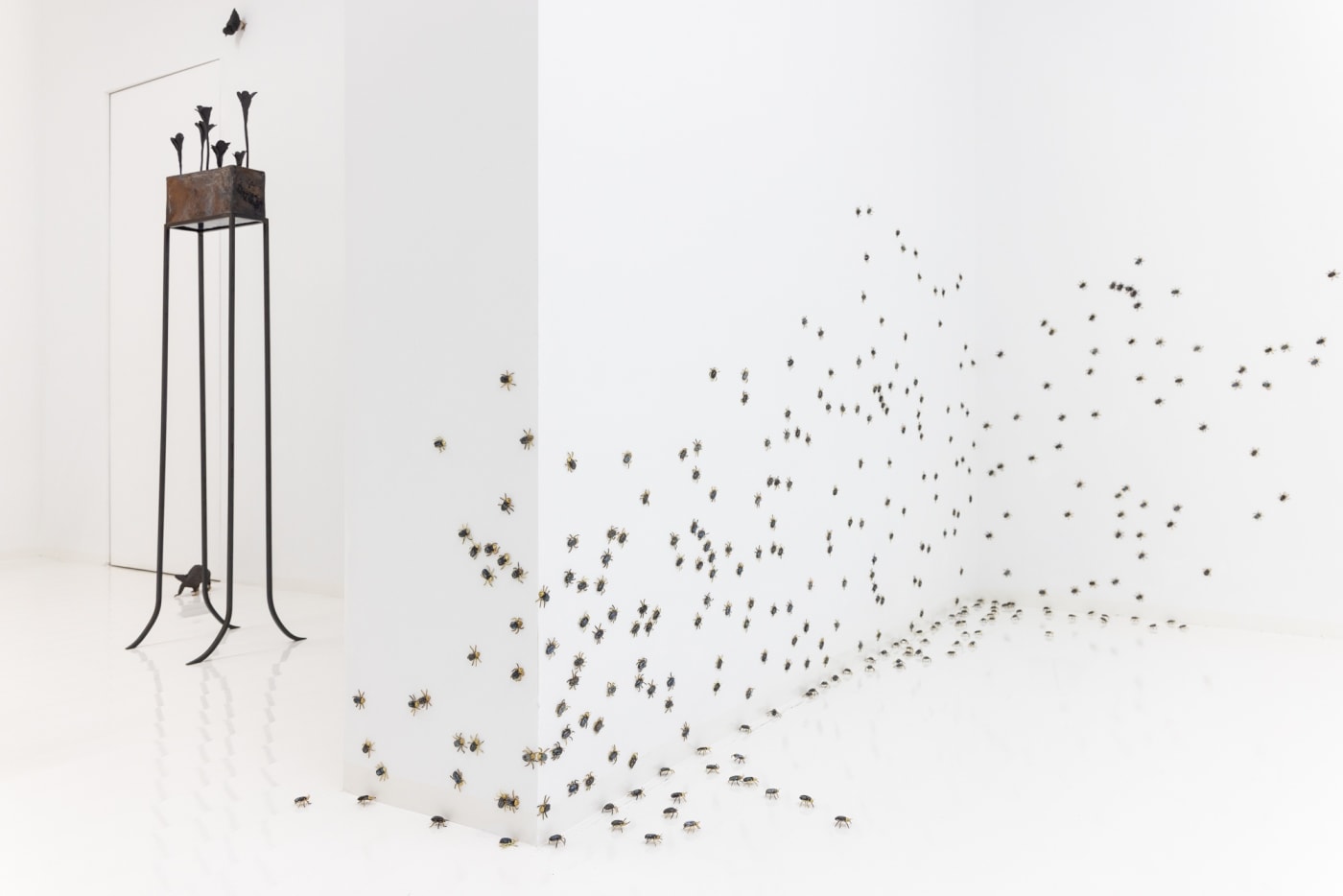Elizabeth Jaeger: Contempt