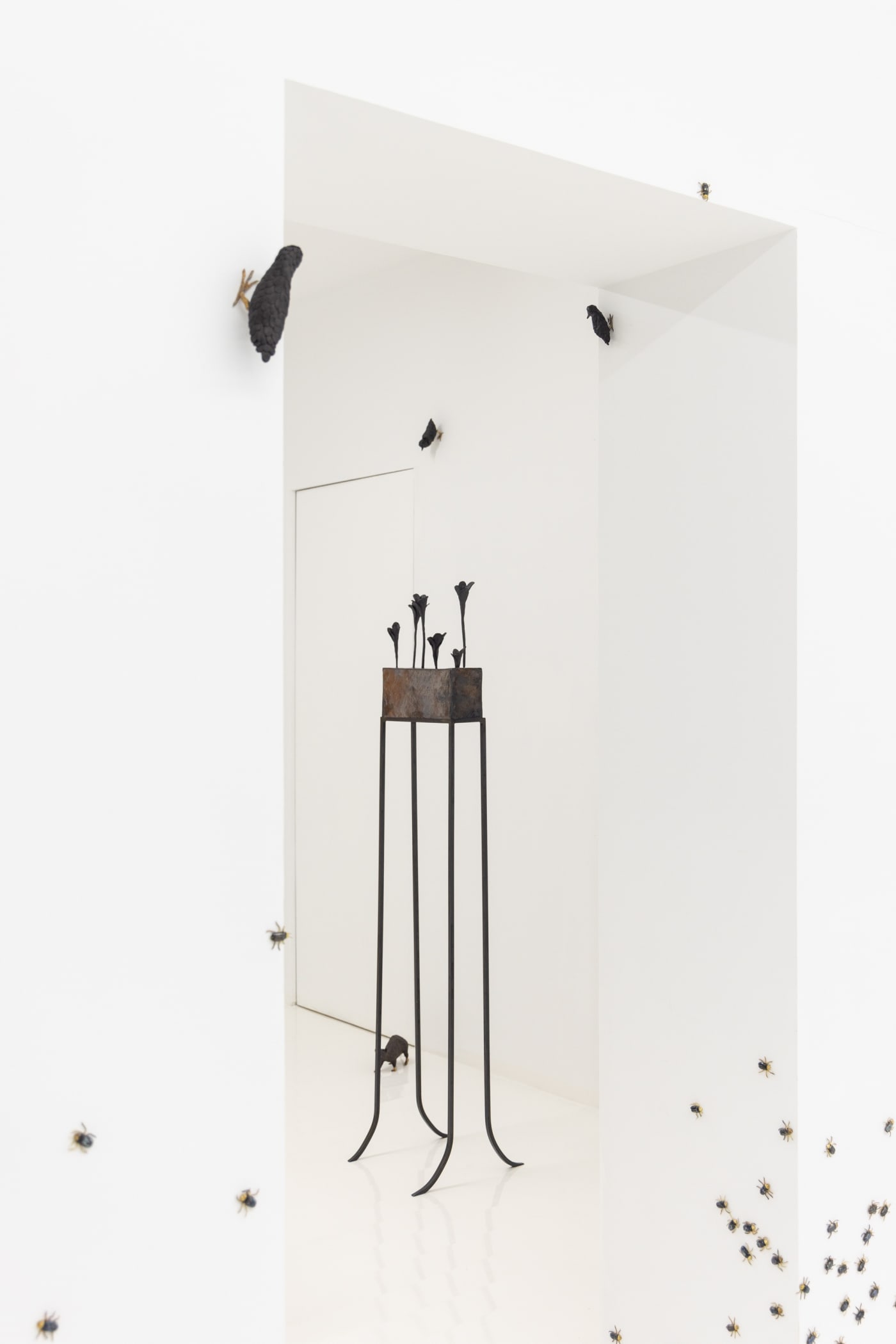 Elizabeth Jaeger: Contempt