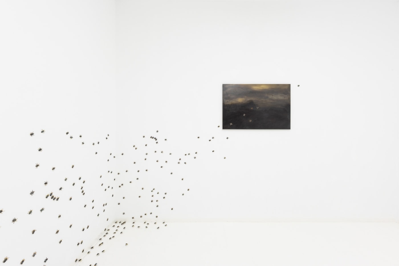 Elizabeth Jaeger: Contempt