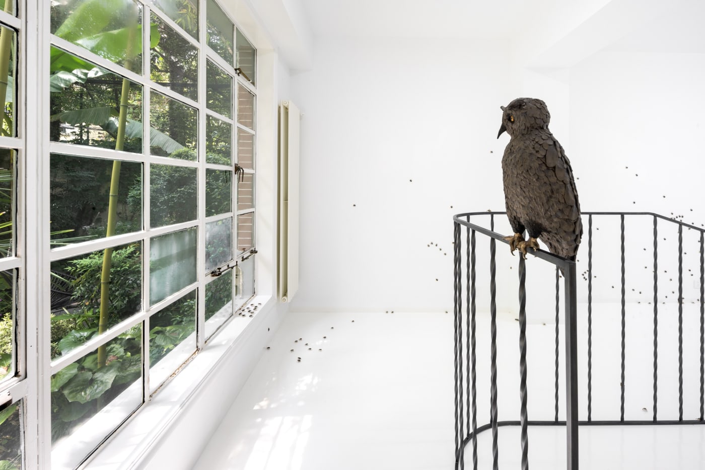 Elizabeth Jaeger: Contempt