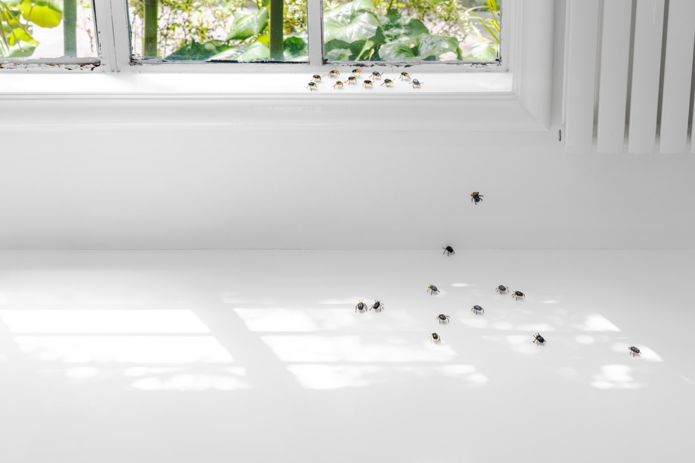 Elizabeth Jaeger: Contempt
