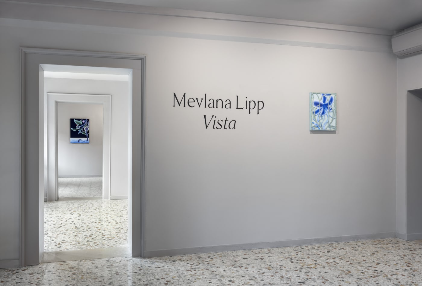 Mevlana Lipp: Vista