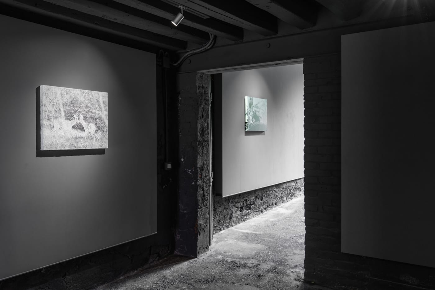Photo by Riccardo Banfi 照片由Riccardo Banfi拍摄