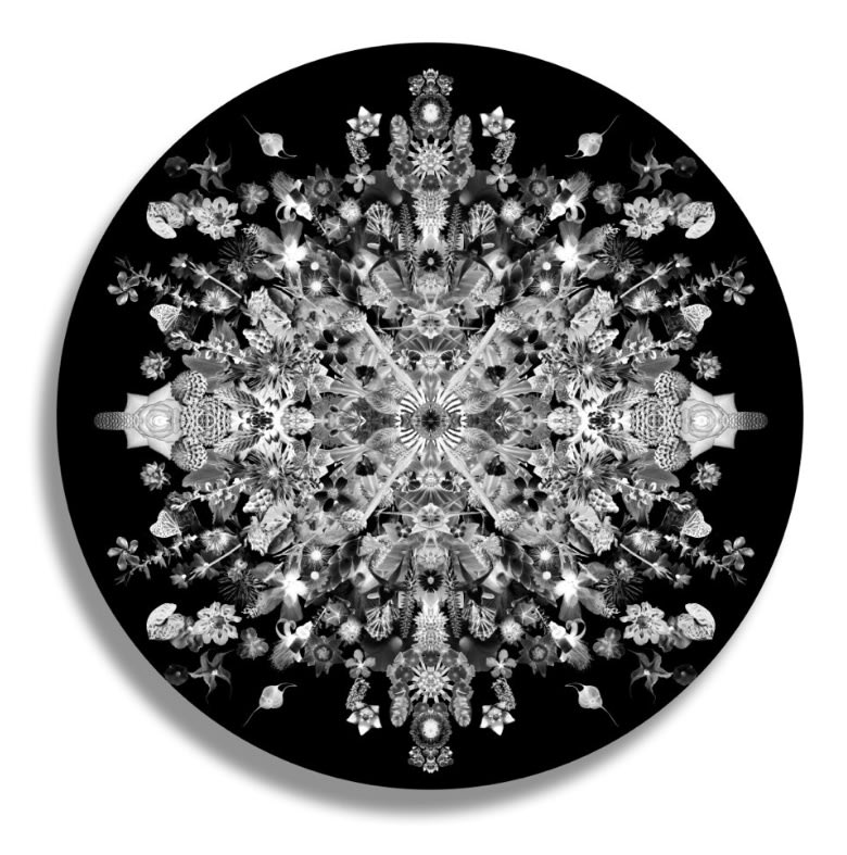 Re-Collections Cosmic (round) IV, 2016-17 print on metalic paper, face mounted on Plexiglas Link to more info on this artwork. Dynamic and fragmented pictures that merge photographic elements with imagined painted and drawn forms.