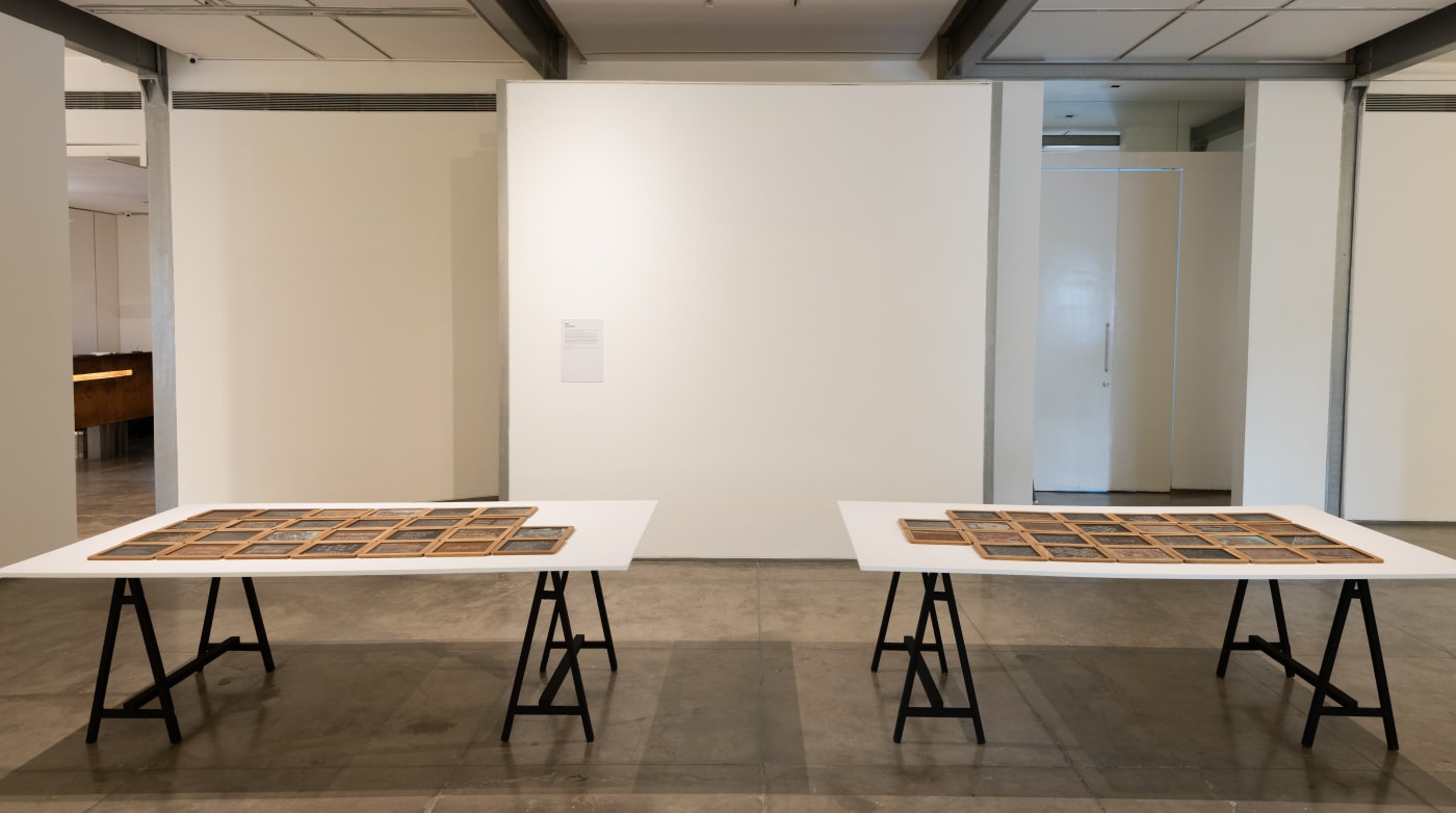 Documenta Indica