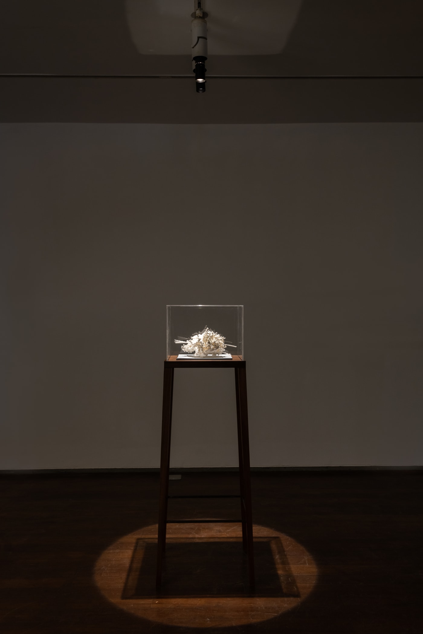 Jitish Kallat, Elicitation (Cassiopeia A), 2021