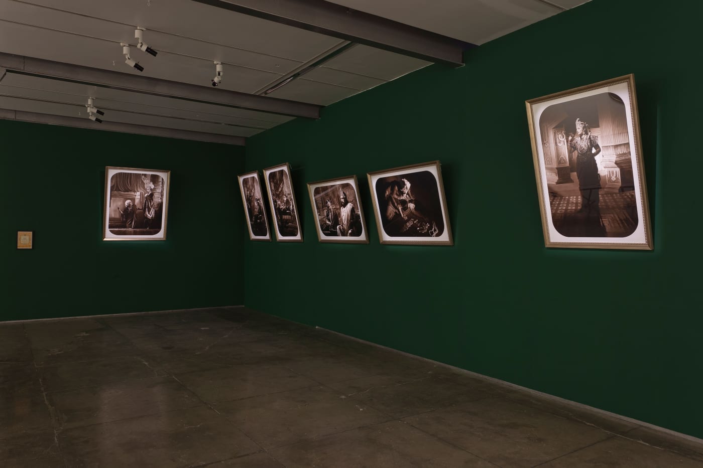 Pushpamala N Avega the Passion, display view, 2012
