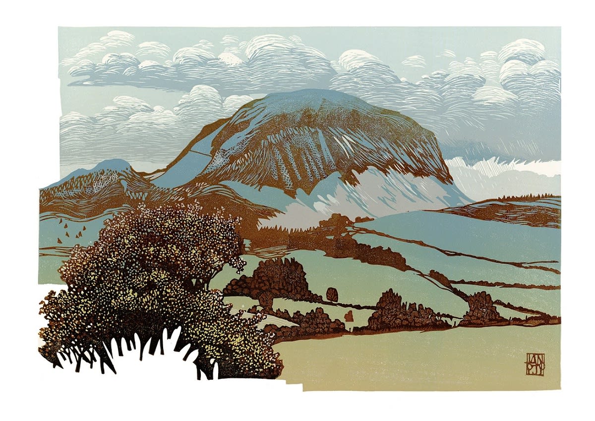 Ian Phillips , Always In Bloom