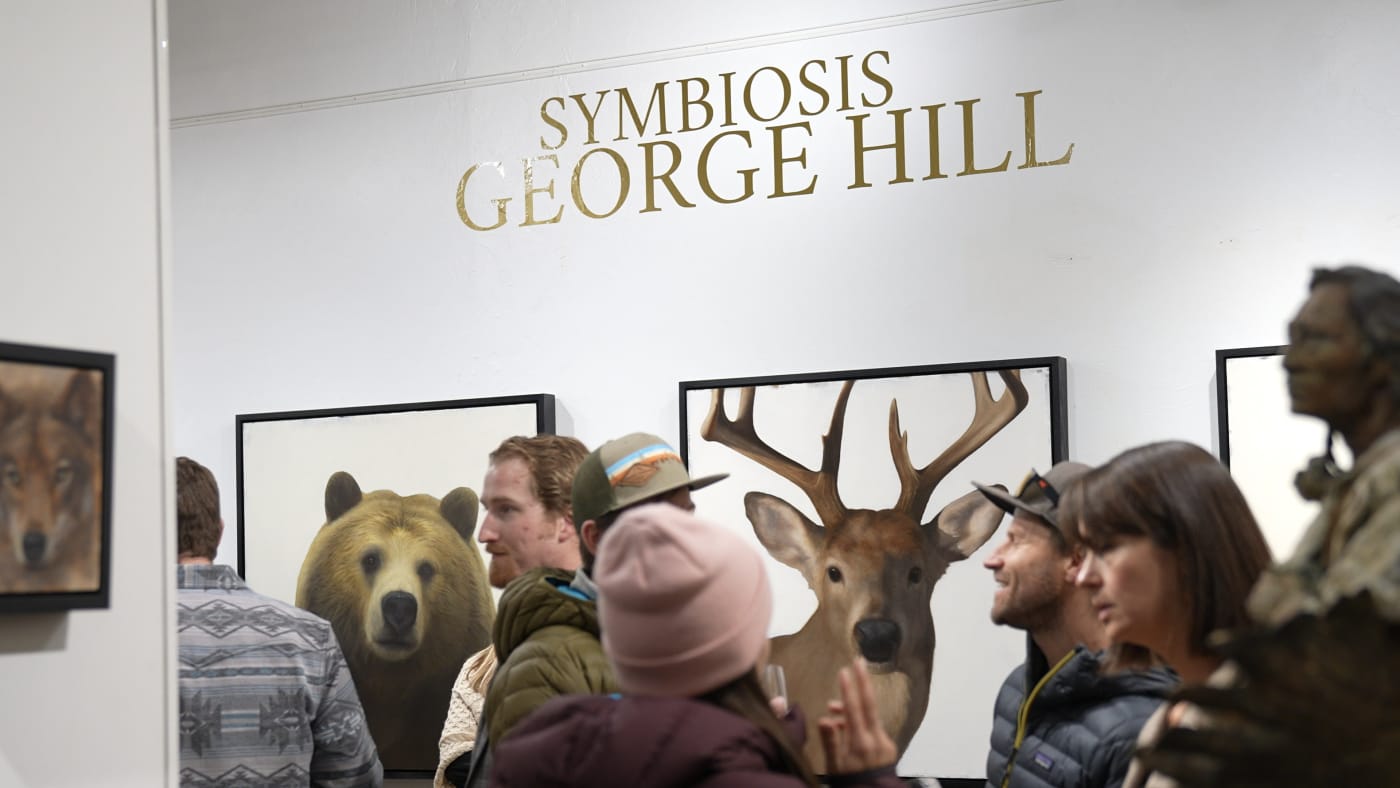 SOLO Exhibition | SYMBIOSIS by GEORGE HILL