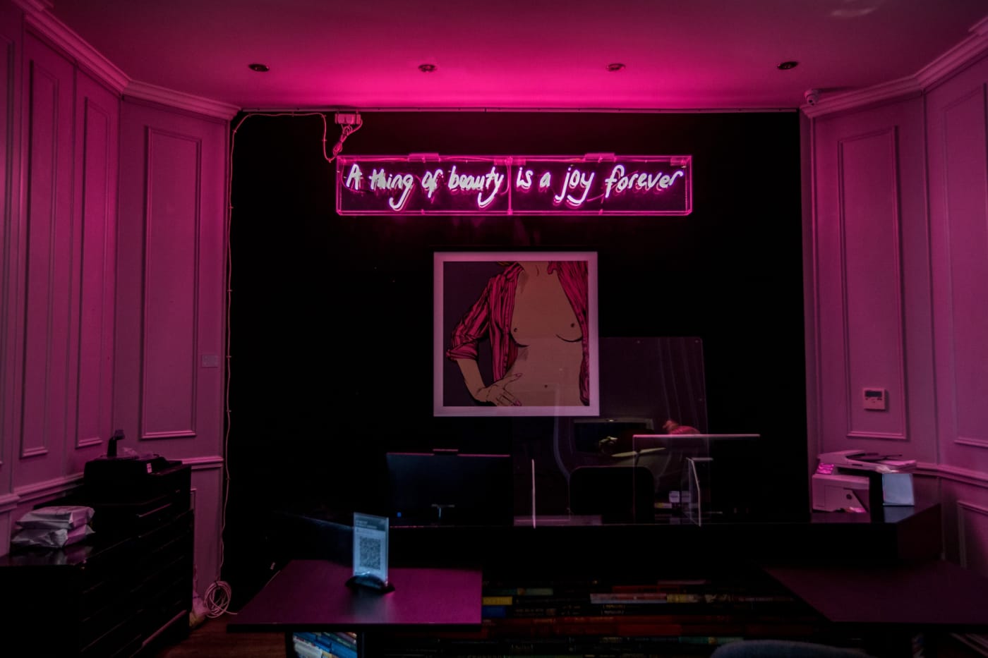 Installation view, photo credit Cristina Schek
