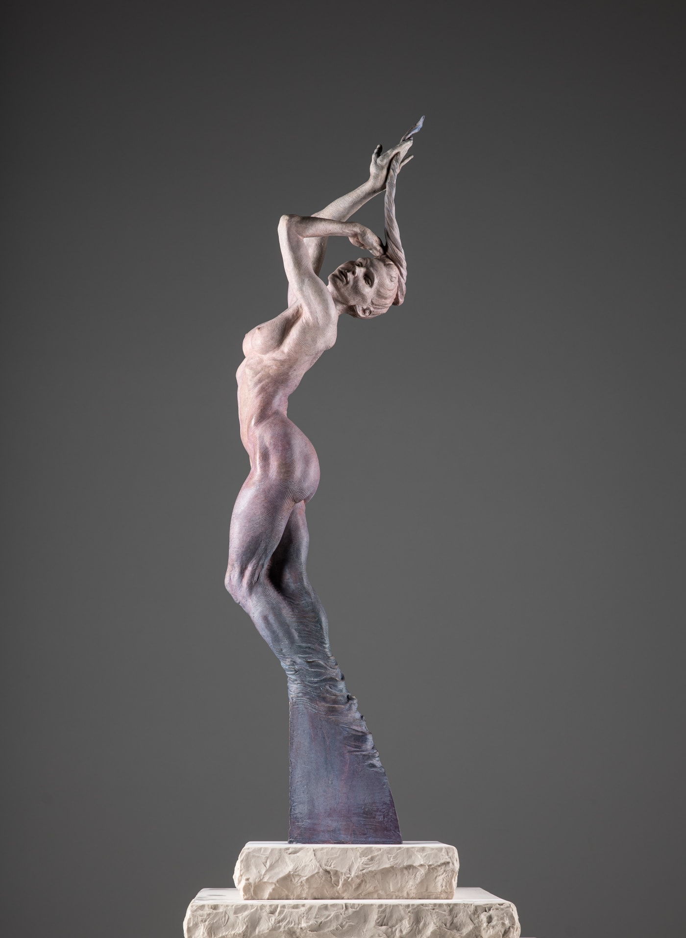 Venus by Richard MacDonald