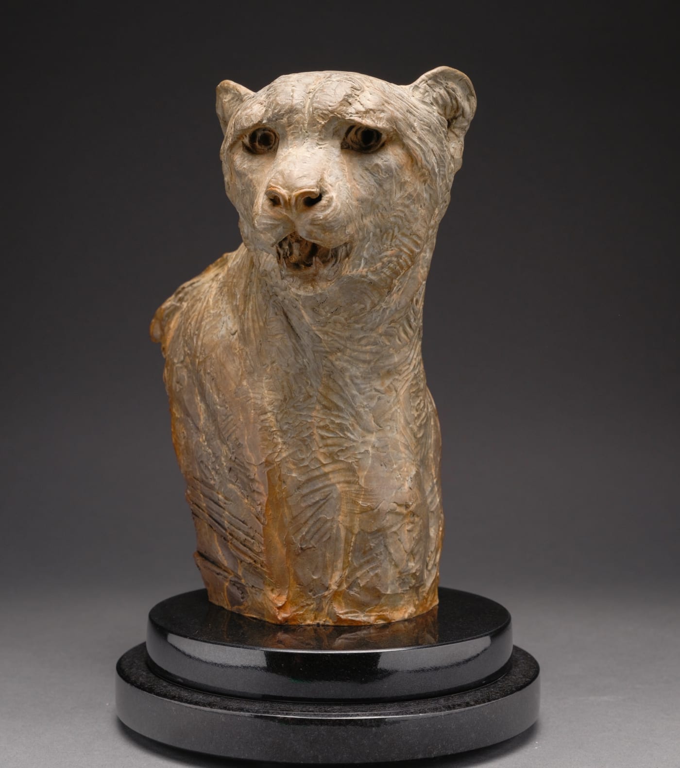 Cheetah Bust Atelier by Richard MacDonald