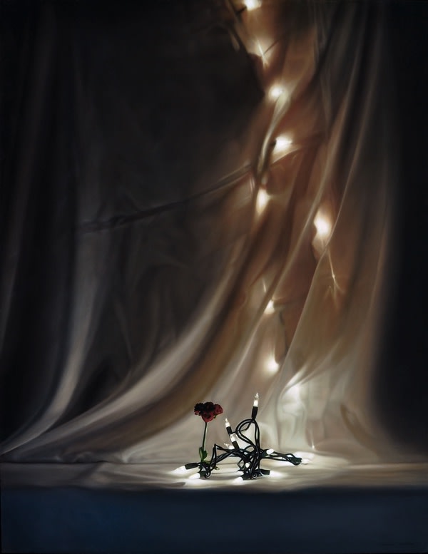 Twist of Light and Flower by Tom Betts