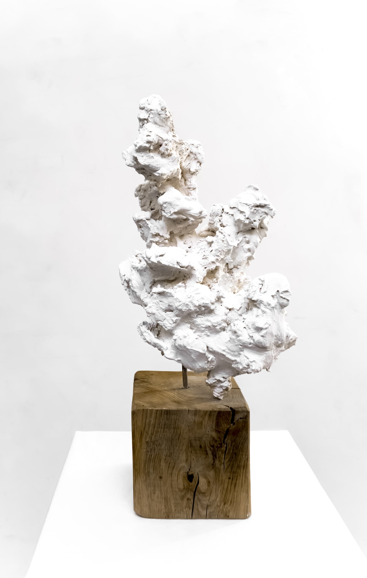 Ashes