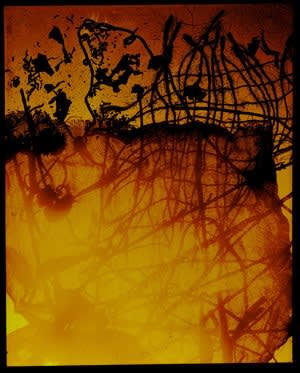 Visions From The Shoreline