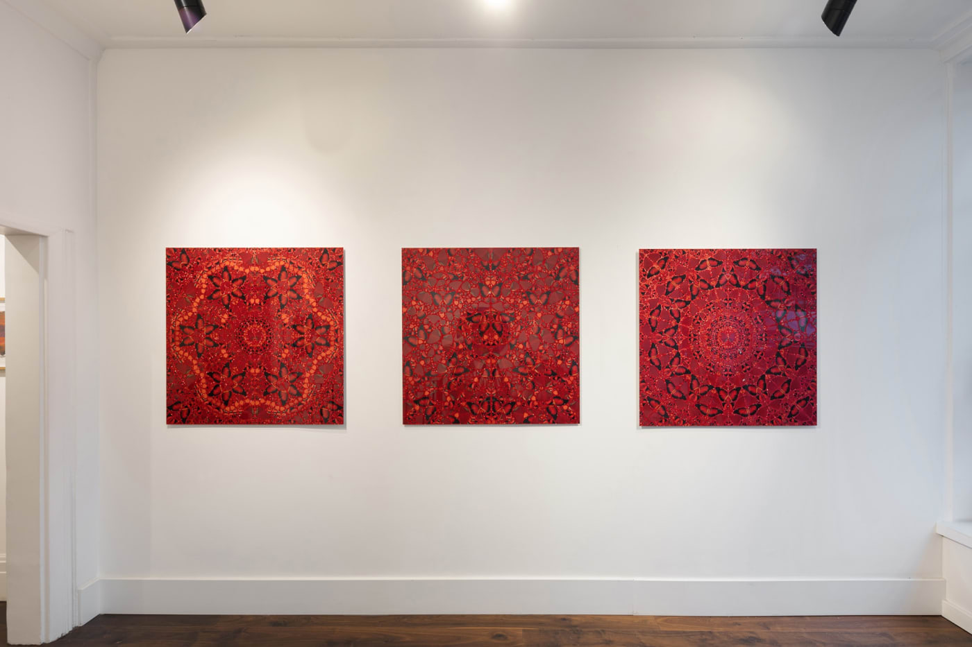 Hirst/Kapoor