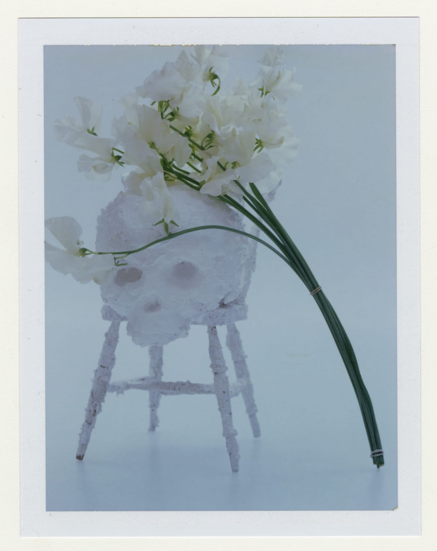 Momento Mori © David Bailey