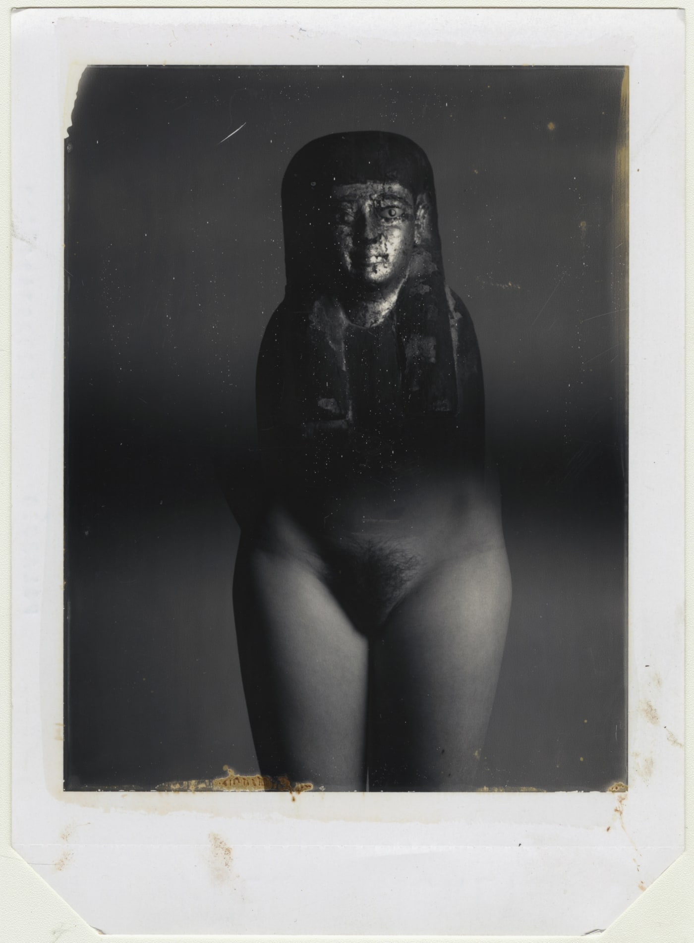 © David Bailey