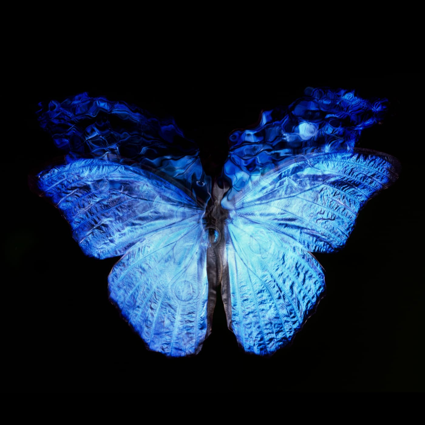 Alexander James Hamilton, Transparency of a Dream [0813-023], 2013-2018. Unique chromogenic photograph, mounted to non-reflective museum diasec. 120 x 120 (framed: 146 x 146) cm