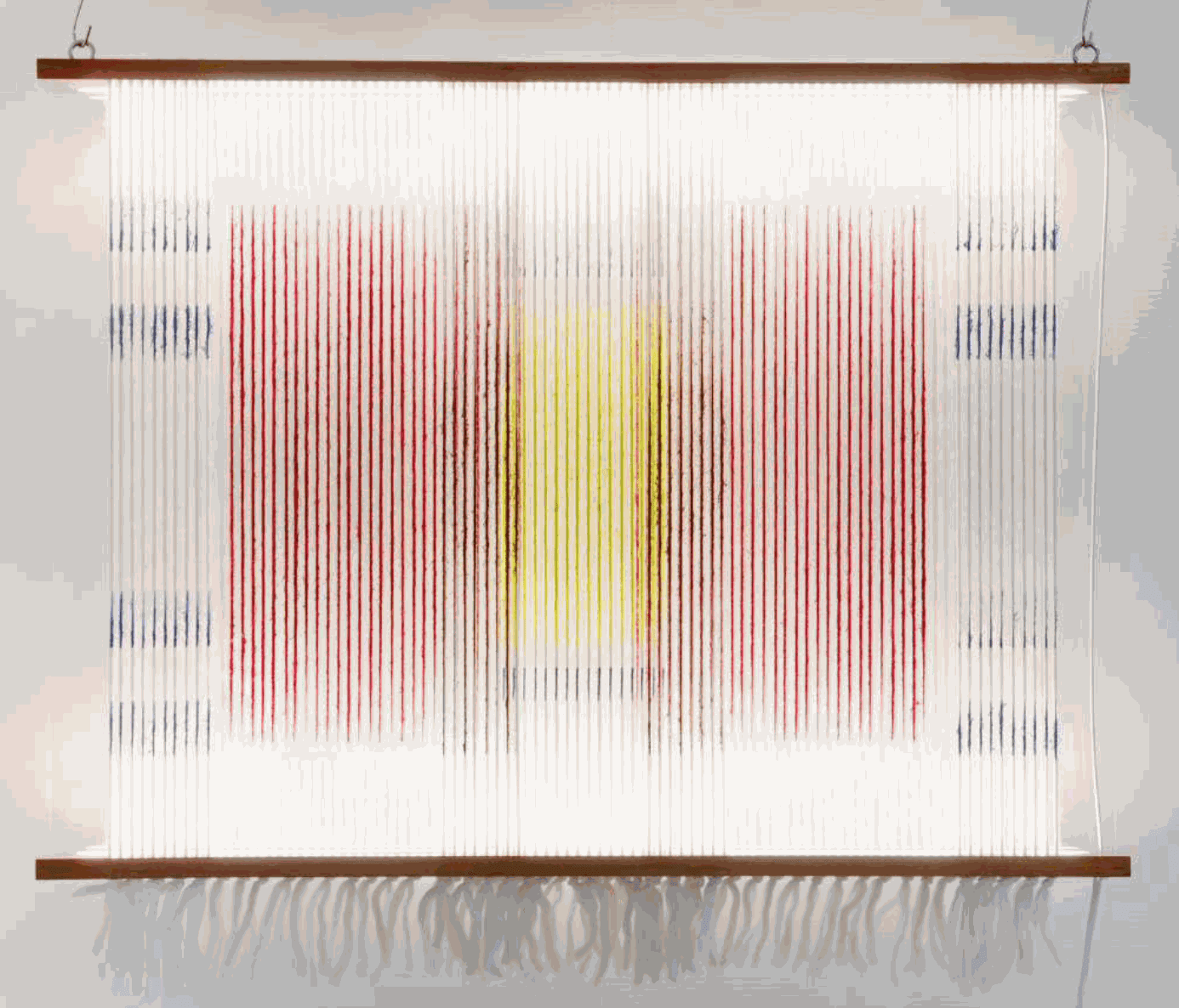 Cicinnurus Respublica, 2022 Silkscreen printing on wool and alpaca yarns, Padouk, led neon, Plexiglas 100 x 75 cm
