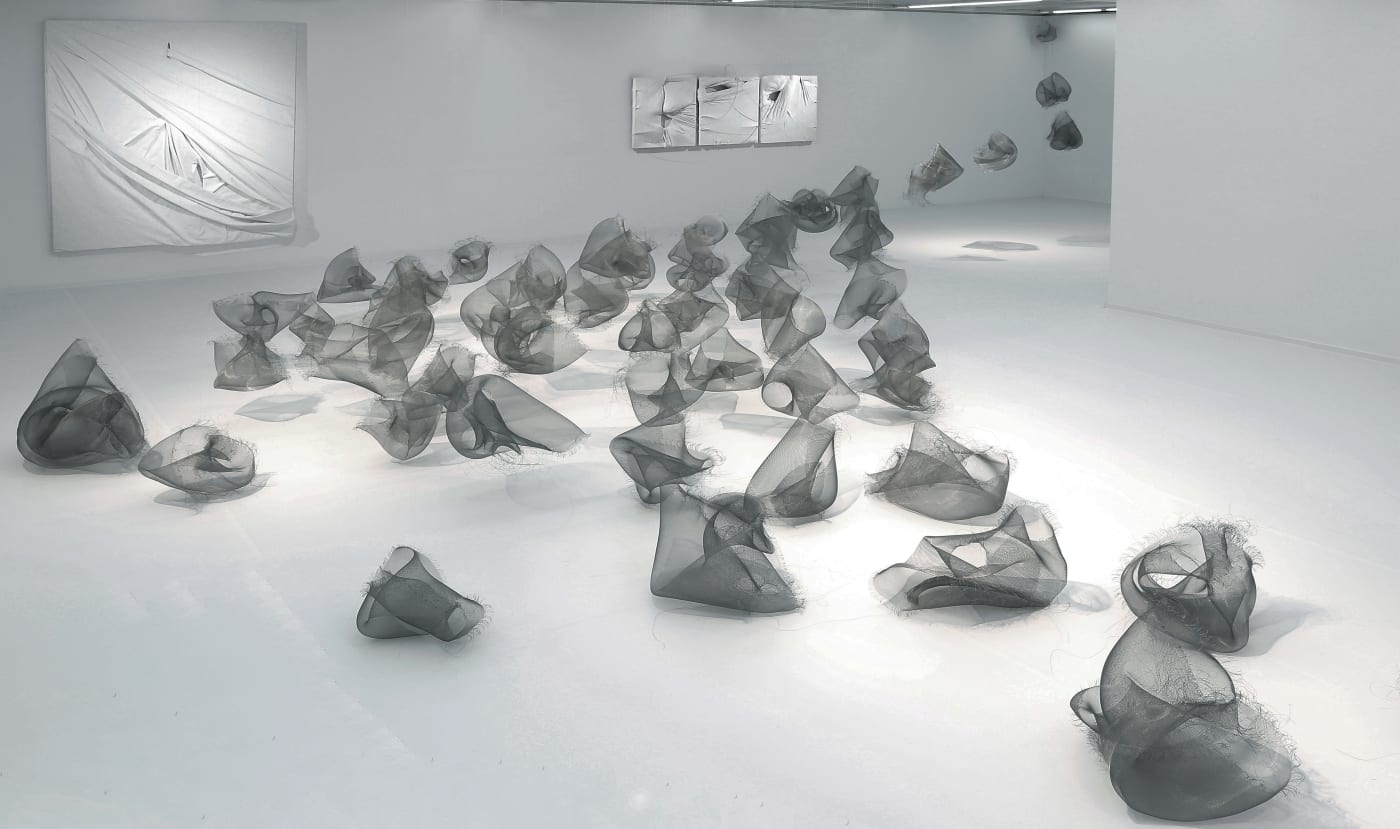 張爽個展「透明體」