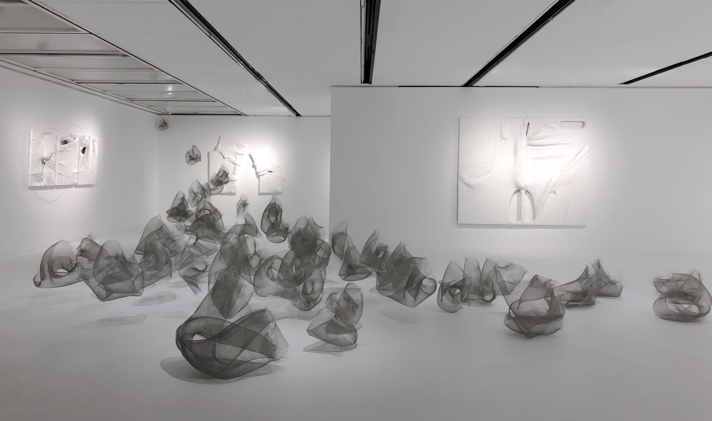 張爽個展「透明體」