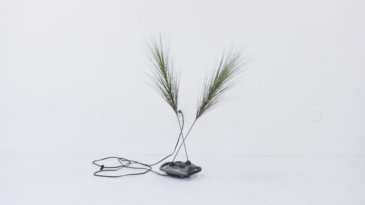Rachel Youn Possession Artificial Plants, Percussion Massager 99 x 99 x 76.2 cm, 2020