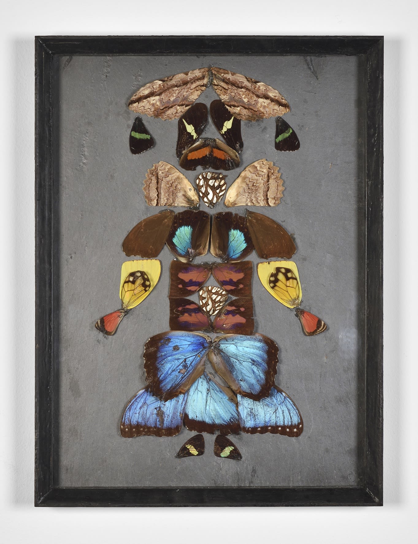 Pierre Bettencourt Papillons de Colombie Série "Petites Têtes" 7/15, 1962 Signé du monogramme et daté 1962 sur le cadre Ailes de papillons collées sur ardoise vernie par endroits, sous verre Butterfly wings glued on slate, varnished in places, under glass 32 x 23 cm 12 5/8 x 9 1/8 in ©Photo: Rebecca Fanuele