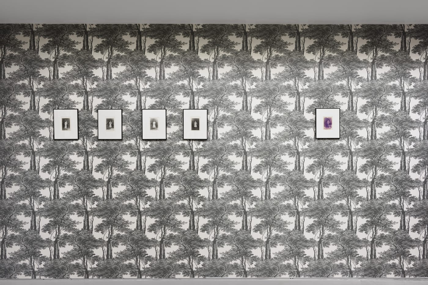 Marcel Bascoulard, Sélection 16.01 - 27.02.2021