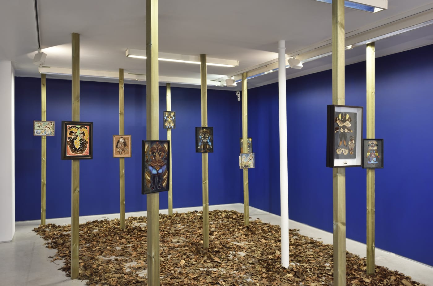 Exhibition view of L'Envol, une sélection de collages d'ailes de papillons by Pierre Bettencourt. Galerie Christophe Gaillard, Paris, 2022. © Photo: Rebecca Fanuele.