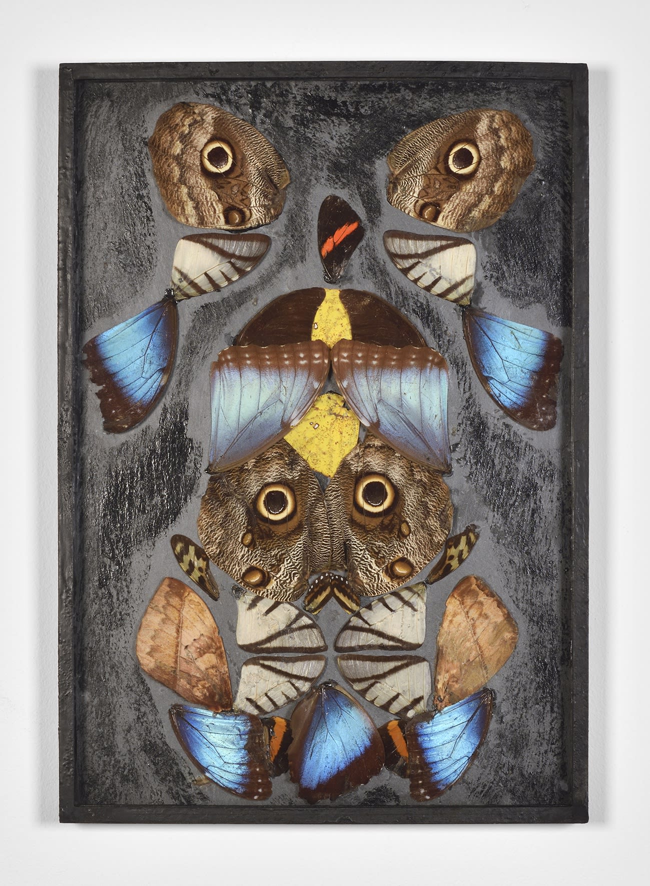 Pierre Bettencourt Sans titre, Circa 1961-1962 Ailes de papillons collées sur ardoise vernie par endroits, sous verre Butterfly wings glued on slate, varnished in places, under glass 33 x 23 cm 13 x 9 1/8 in ©Photo: Rebecca Fanuele