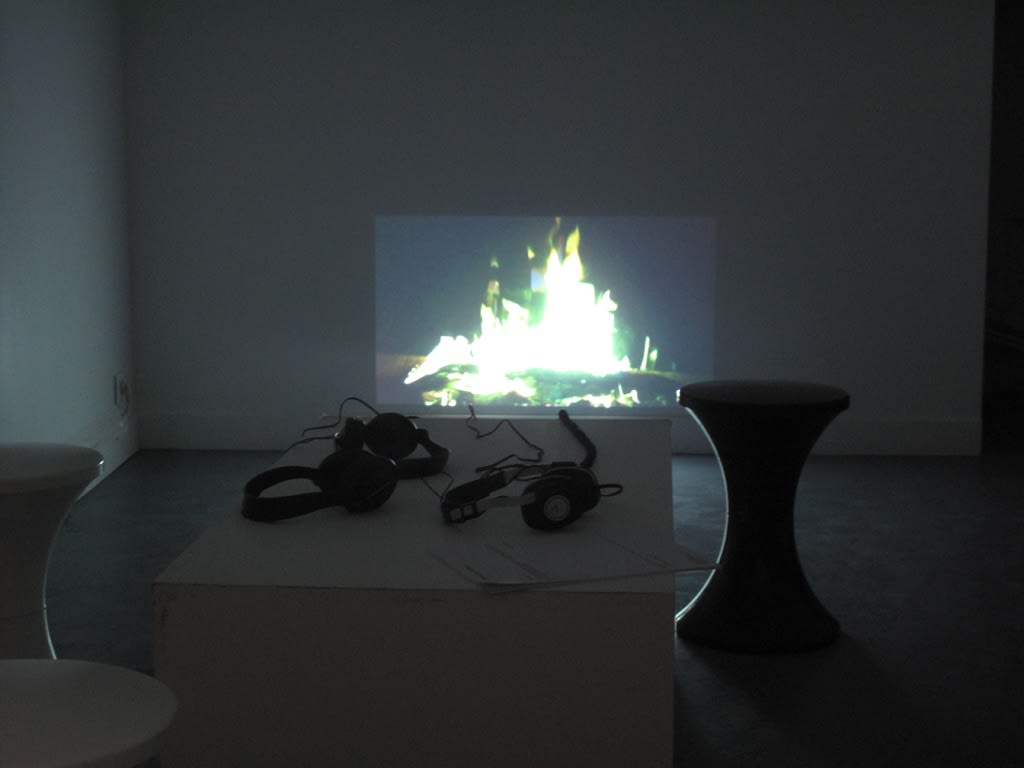 Réelle Présence, w/ Véronique Bourdier, Lawrence Carroll, Thibault Hazelzet, Bérengère Henin, Kassia Knao, Tetsumi Kudo, Isabelle Le Minh, Guillaume Lebelle 28.01 - 25.02.2012
