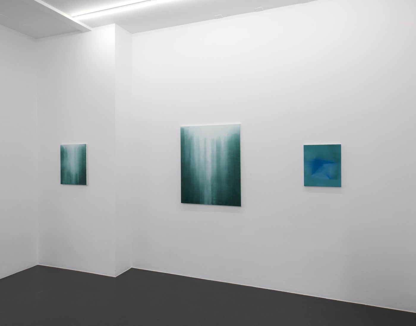 SELECTED LANDSCAPES