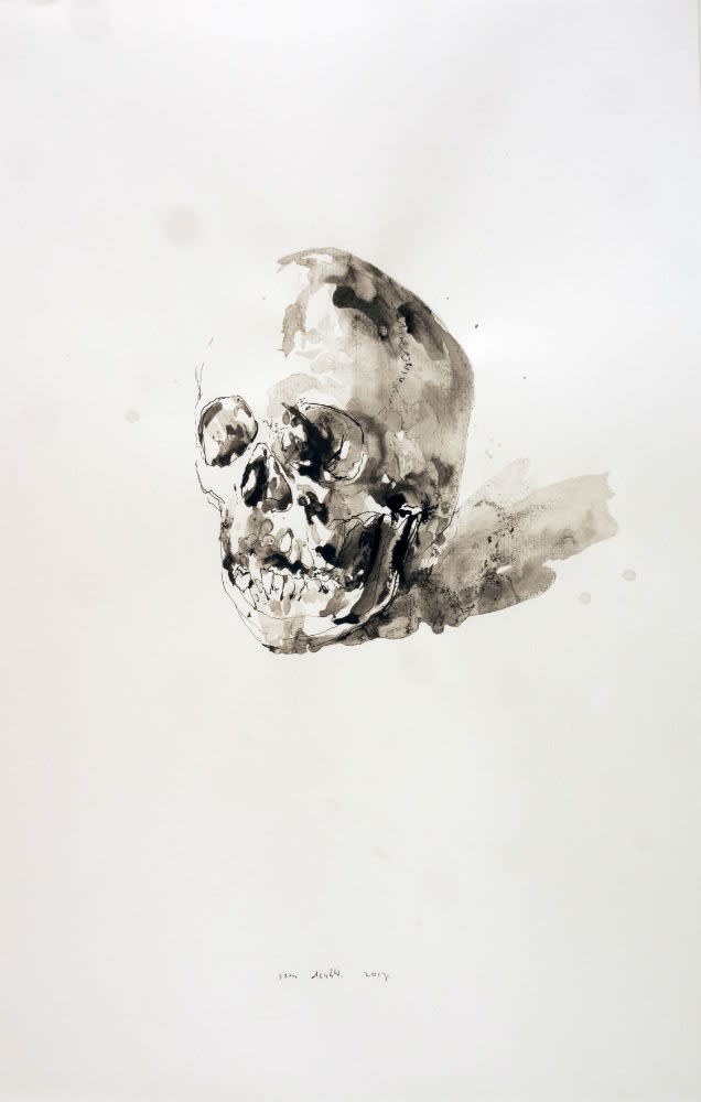 Sam Drukker - Studie voor schedel - 2017 - gewassen inkt op papier - 50 x 35 cm