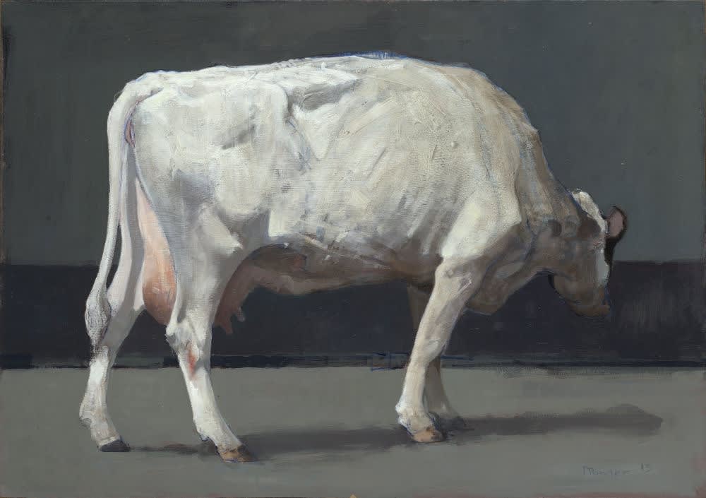 Pieter Pander, Witte Koe, 2013
