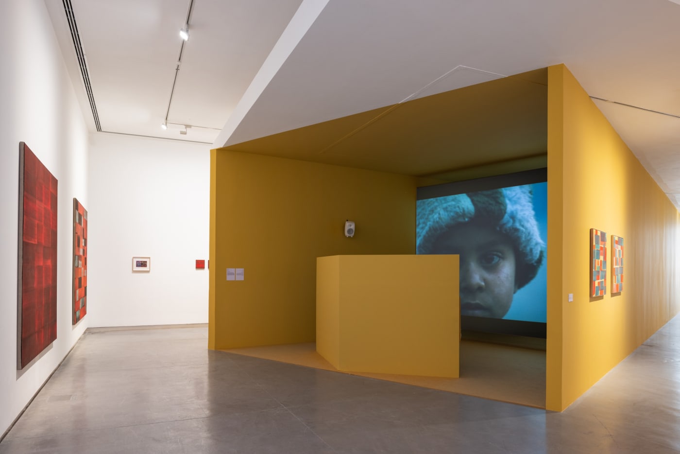 Curatorial project: The Ancestral Well: Pulse to Terrain Curator: Natasha Ginwala Courtesy of Sharjah Art Foundation Photo : Ivan Erofeev