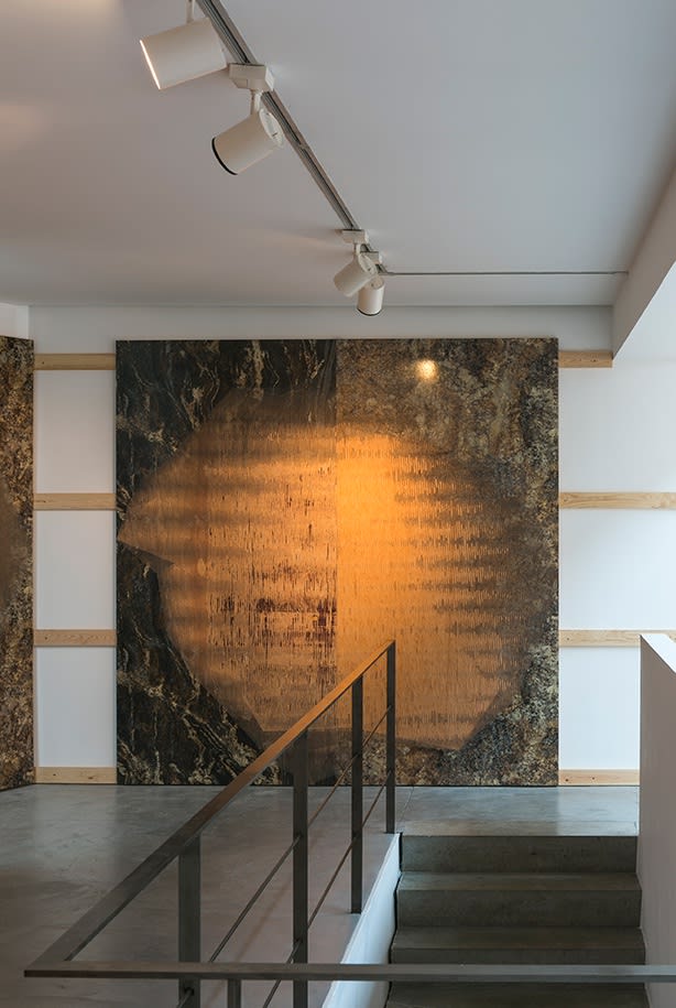 Michael DeLucia