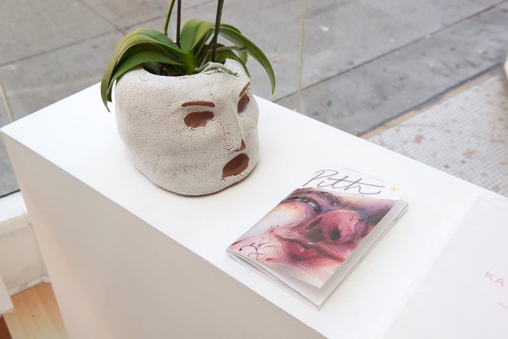 Kate Klingbeil "Pith" installation view