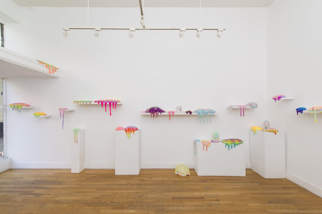 Dan Lam "Bait" installation view